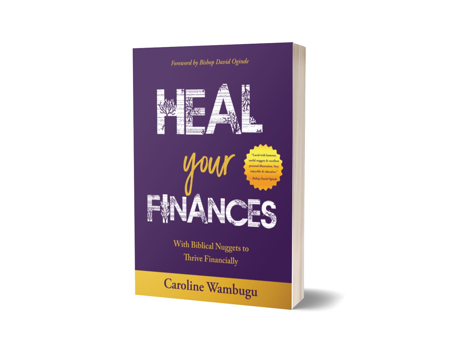 Meet Caroline Wambugu, Author of Heal Your Finances